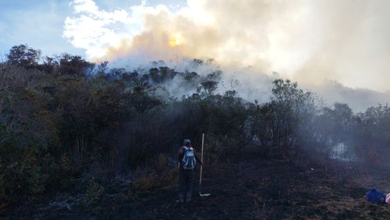 Incendio forestal en Cumbe, Cuenca.