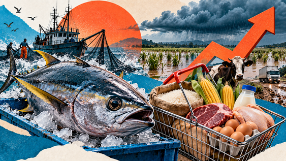 El fenómeno de El Niño puede afectar cultivos como arroz y maíz, alterar la disponibilidad de especies pesqueras como la albacora y generar impactos en la ganadería y el transporte de alimentos, factores que podrían presionar los precios para los consumidores en Ecuador.