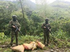 En operativos contra la minería ilegal, las Fuerzas Armadas decomisaron 14 bultos de material aurífero en Urcuquí y Tulcán este 19 de octubre de 2026.