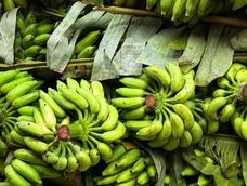 Imagen referencial de manos de banano.