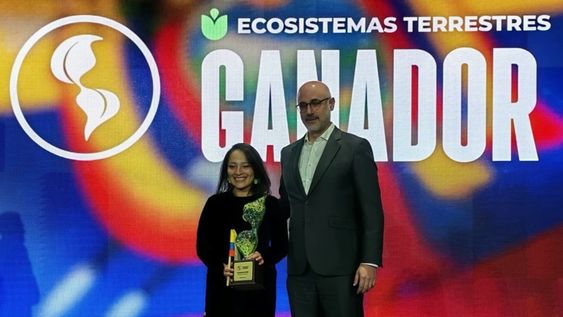 Ecuador ganan reconocimiento regional en los Premios Verdes en Cuenca. Ecuador ganan reconocimiento regional en los Premios Verdes en Cuenca.