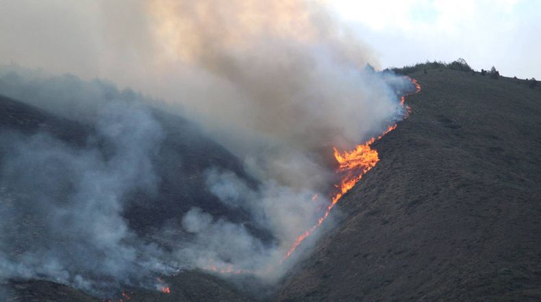 Imagen referencial de un incendio forestal en la zona del Casitagua, en Pichincha (Ecuador).
