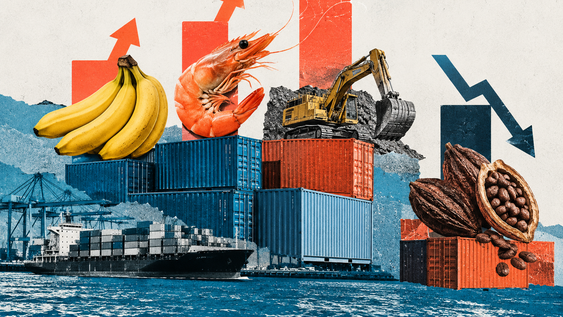 las exportaciones mineras crecen mas rapido que las de camaron y banano; las de cacao se desploman las exportaciones mineras crecen mas rapido que las de camaron y banano; las de cacao se desploman
