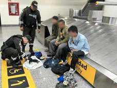 Los tres tailandeses fueron detenidos la noche de este martes 19 de mayo por trafico de especies.&nbsp;