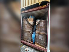 La Policía decomisó 784 bloques de cocaína ocultos en un contenedor de atún en Guayaquil, el 26 de octubre de 2026.
